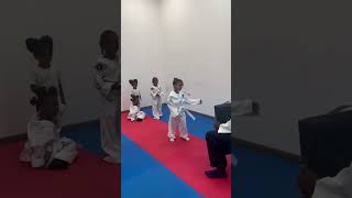 Powerful Front Kick