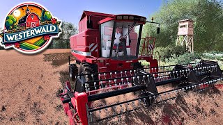 LS22 - Westerwald #64 - Ich bin VERLIEBT und COURSEPLAY Erklärung #fs22 #ls22