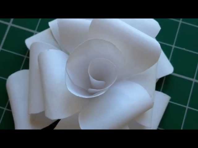 How To Make Rolled Paper Roses - DIY Rolled Paper Flowers 