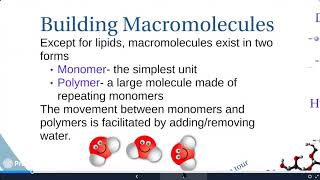 Introduction to Macromolecules