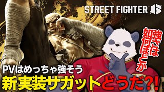 【スト6/SF6】サガットは触ってみたい【摩耶パンダ/ケモノVtuber】