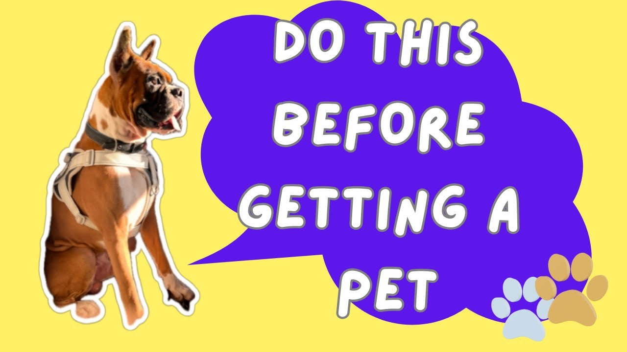 Biggest Mistakes New Puppy Owners Make; 5 Step Pet Parent Guide [Full Checklist]