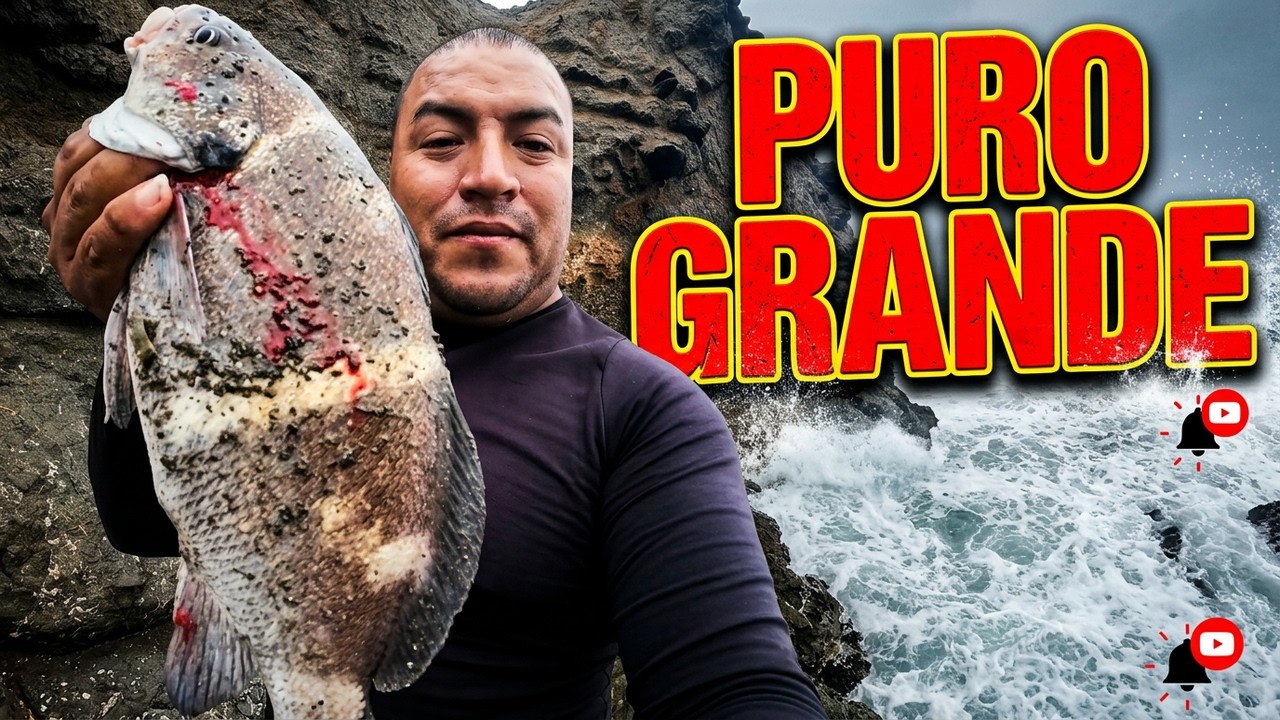 PESCA PELIGROSA BURROS GALLINAZAS EN PUERTO | Tablita Fishing - YouTube