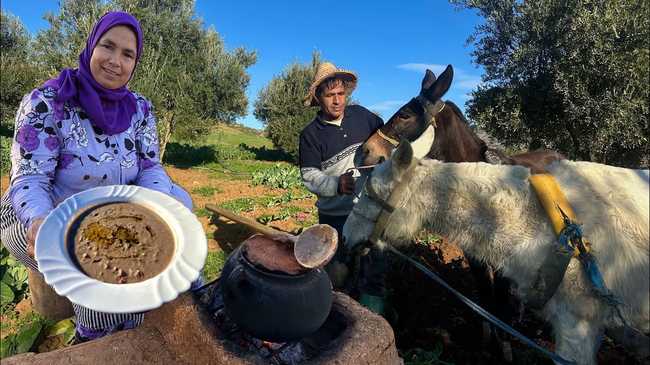 اعداد وجبة الفول المدمس الجبلية و تهيئة الارض لزراعة الخضروات