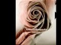 The Best Interpretation by Vortex Technique -TR Platforms-