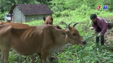 Trên 15.300 hộ đồng bào DTTS thay đổi nếp nghĩ, cách làm