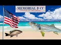 EPIC 36” Snook & Mangrove Snapper on Memorial Day Weekend! (Florida Fishing)