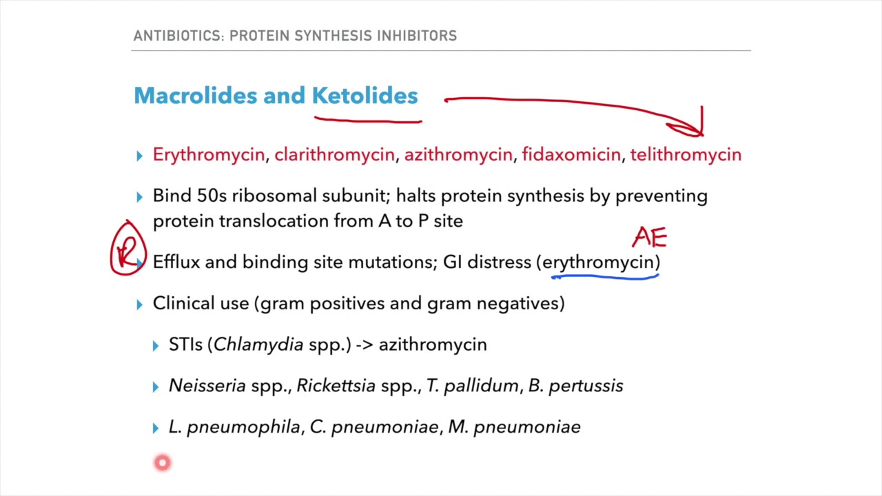 Protein synthesis inhibitors USMLE and COMLEX review YouTube