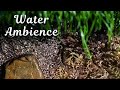 Instant Relaxation With The Power of Gently Flowing Water