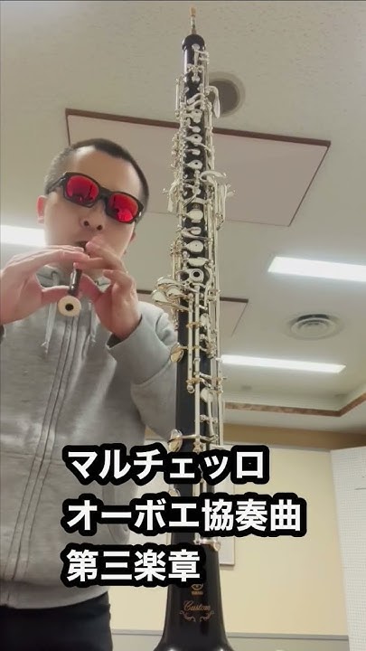 リコーダーで「オーボエ協奏曲」（マルチェッロの第三楽章）吹いてみた／Alessandro Marcello 