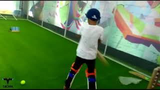 Tacnik Cricket Simulator