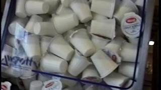RDMVTL 1817  ~ 6/1/1997  PRICE CHOPPER TOUR @ ENDICOTT , NY