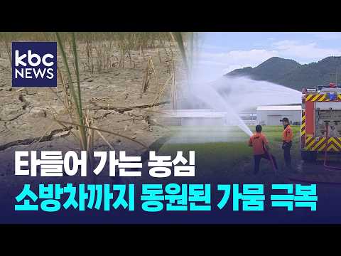 타들어 가는 <strong>농심</strong>...소방차까지 동원된 가뭄 극복 '총력전' / KBC뉴스