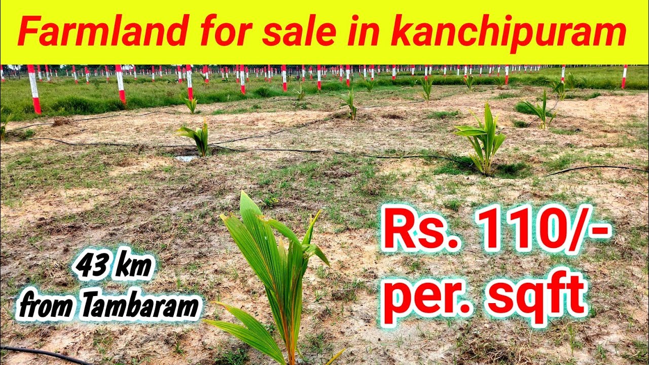 low budget farmland for sale in kanchipuram 43 km from Tambaram