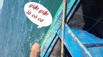 cá nóc - thịt gà biển- ăn cá nóc  độc-món ăn đặc sản của ngư dân đ biển /buile HT