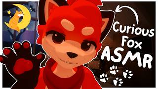 [Furry ASMR] Curious Fox finds and comforts YU at home :3 [Sleep-aid] [Soft-spoken] [Visual-aid] screenshot 5