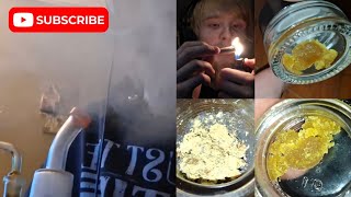 Apple Fritter×Runtz Dab Review And Hash Bowls #viral #fypp #cannabiseducation #entertainment #fun 