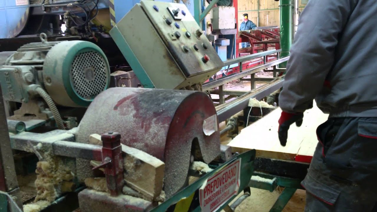 Circular de tivit scandura