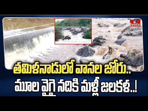 తమిళనాడులో వానల జోరు మూల వైగై నదికి మళ్లీ జలకళ! Moola Vaigai River Tamil Nadu hmtv
