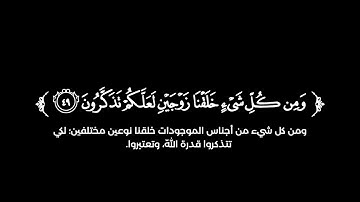 كروما شاشة سوداء قرآن كريم 🌿تلاوة من سورة الذاريات 🌿القارئ أنس محمد 🌿