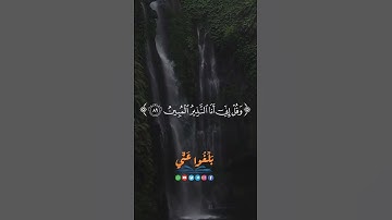 القارئ هزاع البلوش |•| لا تمدن عينيك إلى ما متعنا به ازواجاً منهم و لا تحزن عليهم
