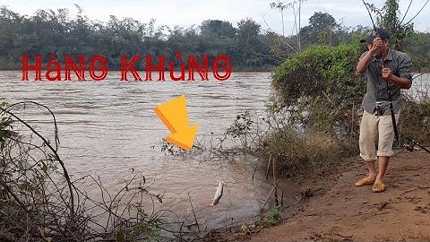 Sông Bé Nước Rút Trúng Ngày Cá Ăn Mạnh Đụng Hàng Khủng Mừng Run Tay 