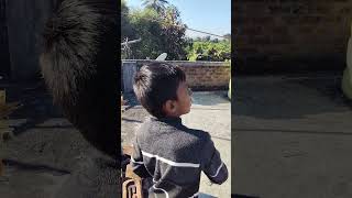 "Subah ka scene: Patang, Sasu Bai, aur Kala Jamun! 😜 "