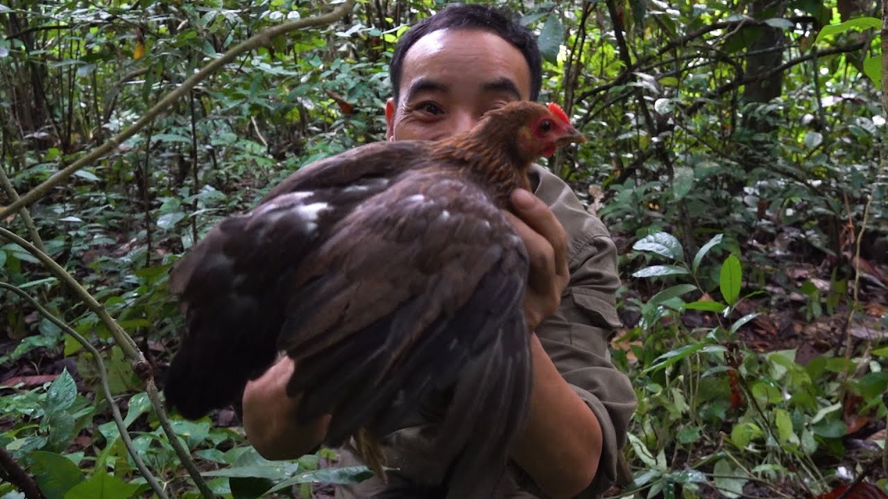 Amazing - A wild hen caught in a trap | LIVING OFF THE GRID | Episode 11