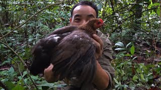 Amazing - A wild hen caught in a trap | LIVING OFF THE GRID | Episode 11