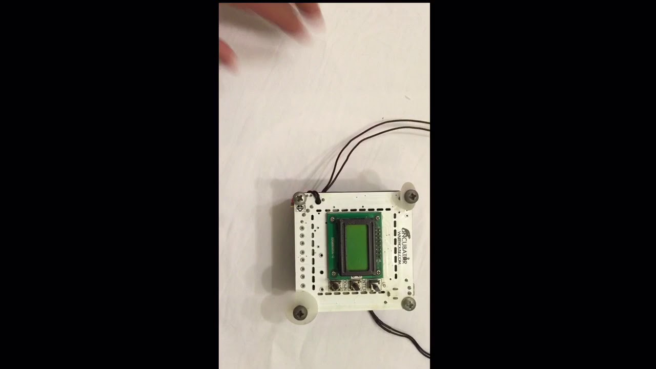 Egg Incubator - YouTube