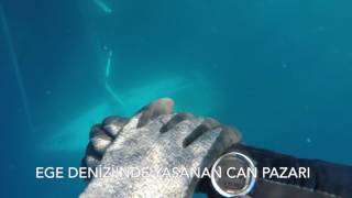 Naviganın Şubat Sayısında