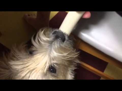 離さないよ