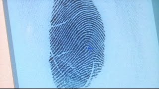 School Fingerprints - 3News