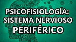 Psicofisiología - Sistema Nervioso Periférico (SNP)