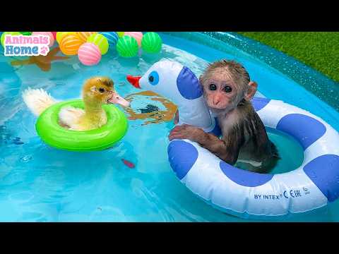 BiBi goes swimming with a duckling