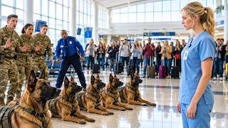Just a Civilian Nurse They Said — Until Her Secret Heronwood K9 Skills Stopped an Airport Terro...