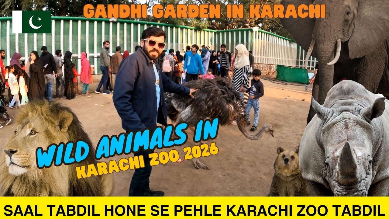 Новый облик Карачинского зоопарка 2026 | Приключения животных в Карачинском зоопарке | Зоопарк в ...