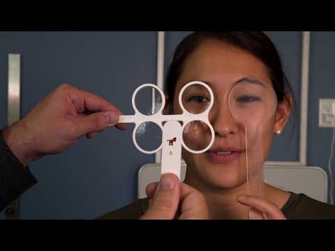 How Your Eyes Work - Near vs Far Focussing Speed with Dr. Patrick T. Quaid.