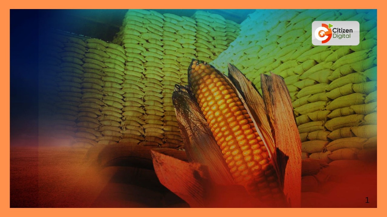 CS Mutahi Kagwe secures up to 1 million 90kg maize bags