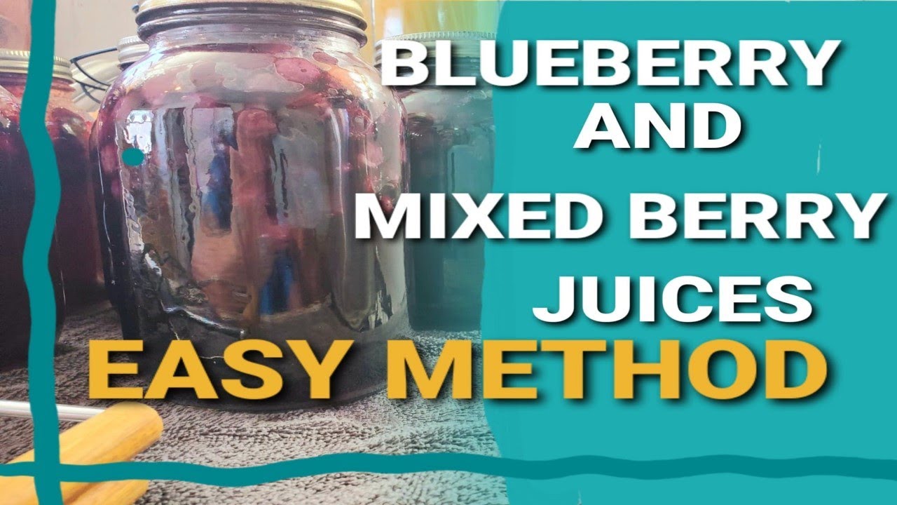 How We Home Can Our Blueberry Juice Mixed Berry Juice Easy Method