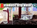 How to make an automatic drip water bottles at home