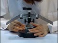 実験レシピ　解剖顕微鏡を使おう！