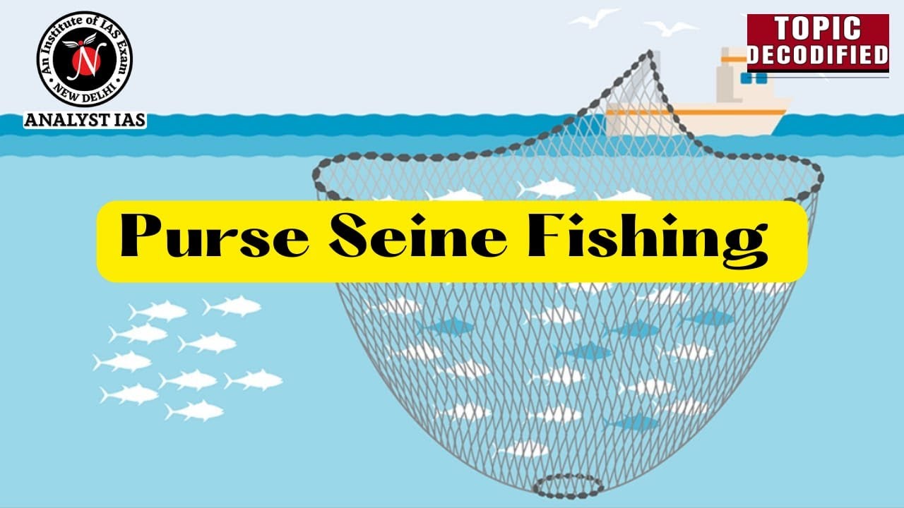 The Ultimate Guide to Learn How to Make a Seine Net - Thrillspire