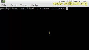 How to search files by case insensitive name  in Ubuntu