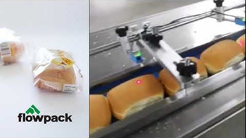 horizontal flow wrapper machine with automatic feeder for french bread package