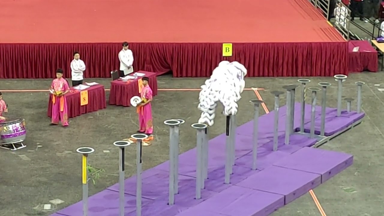 2026年1月31日星期六紅磡體育館夜光龍醒獅錦標賽〈八〉中國廣東惠州張強龍獅團隊