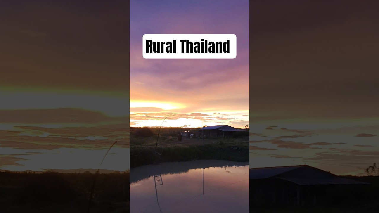 Rural Thailand at its best.