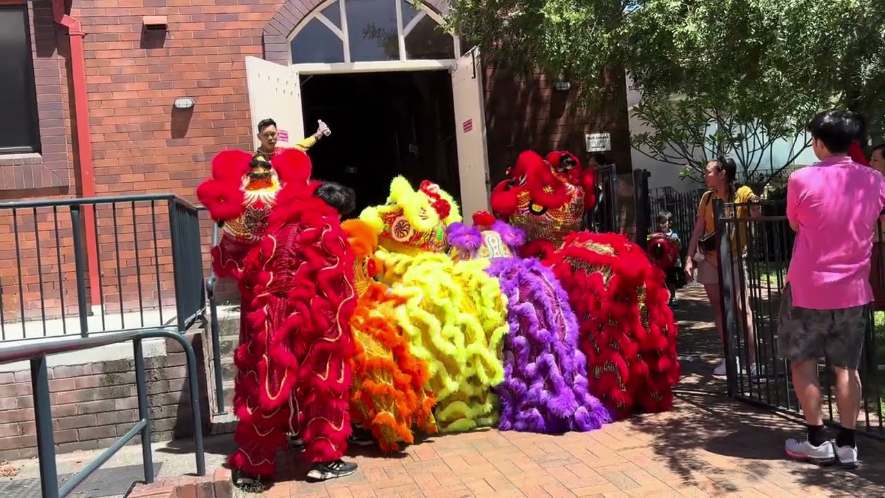 Lion dance kids 
