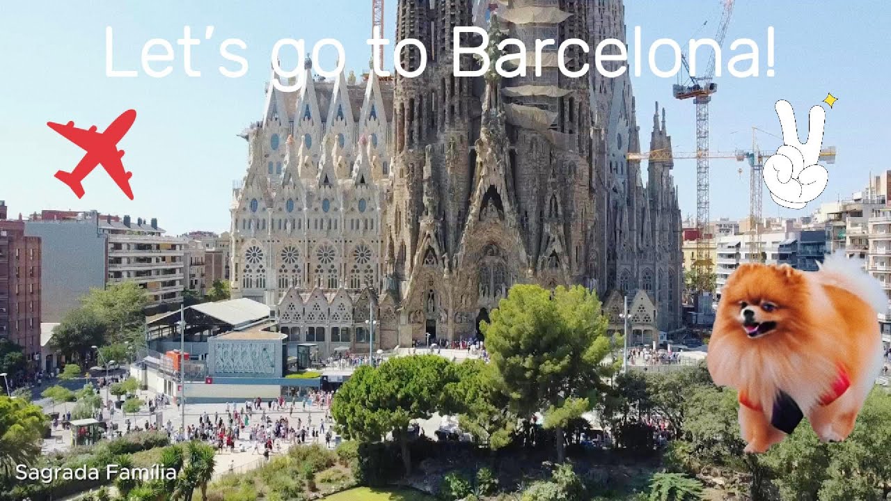 Leo the Pomeranian’s First Big Adventure in Barcelona! 🐶✨