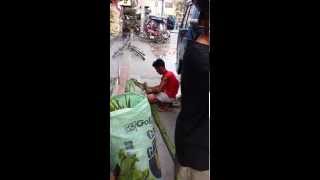 How To make Float for parade: parade of a king using cloth with skirting